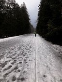 Mountain Loop Hwy 1-28-24 Virtually No Snow.jpg