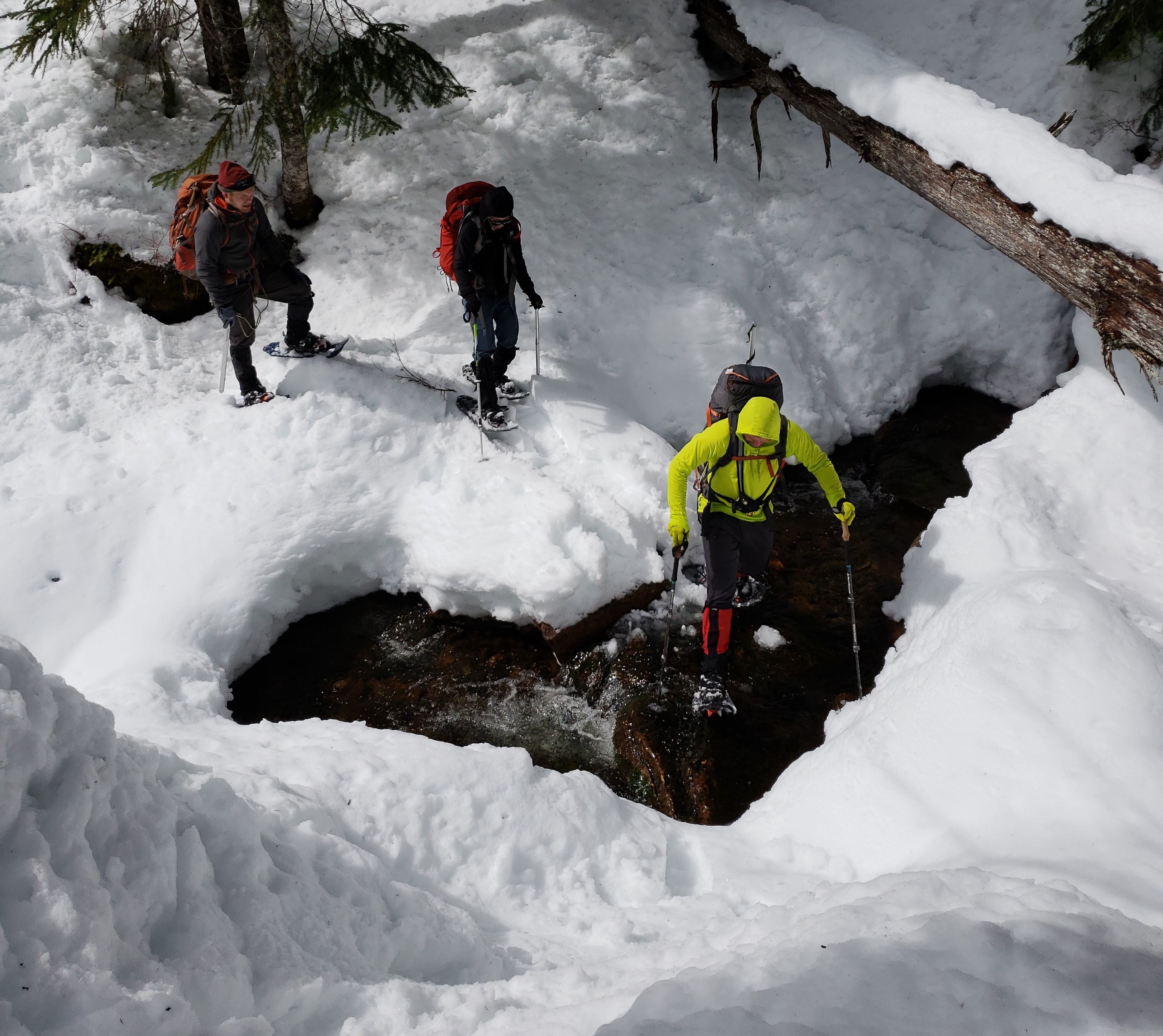 20180331_125725 (2).jpg