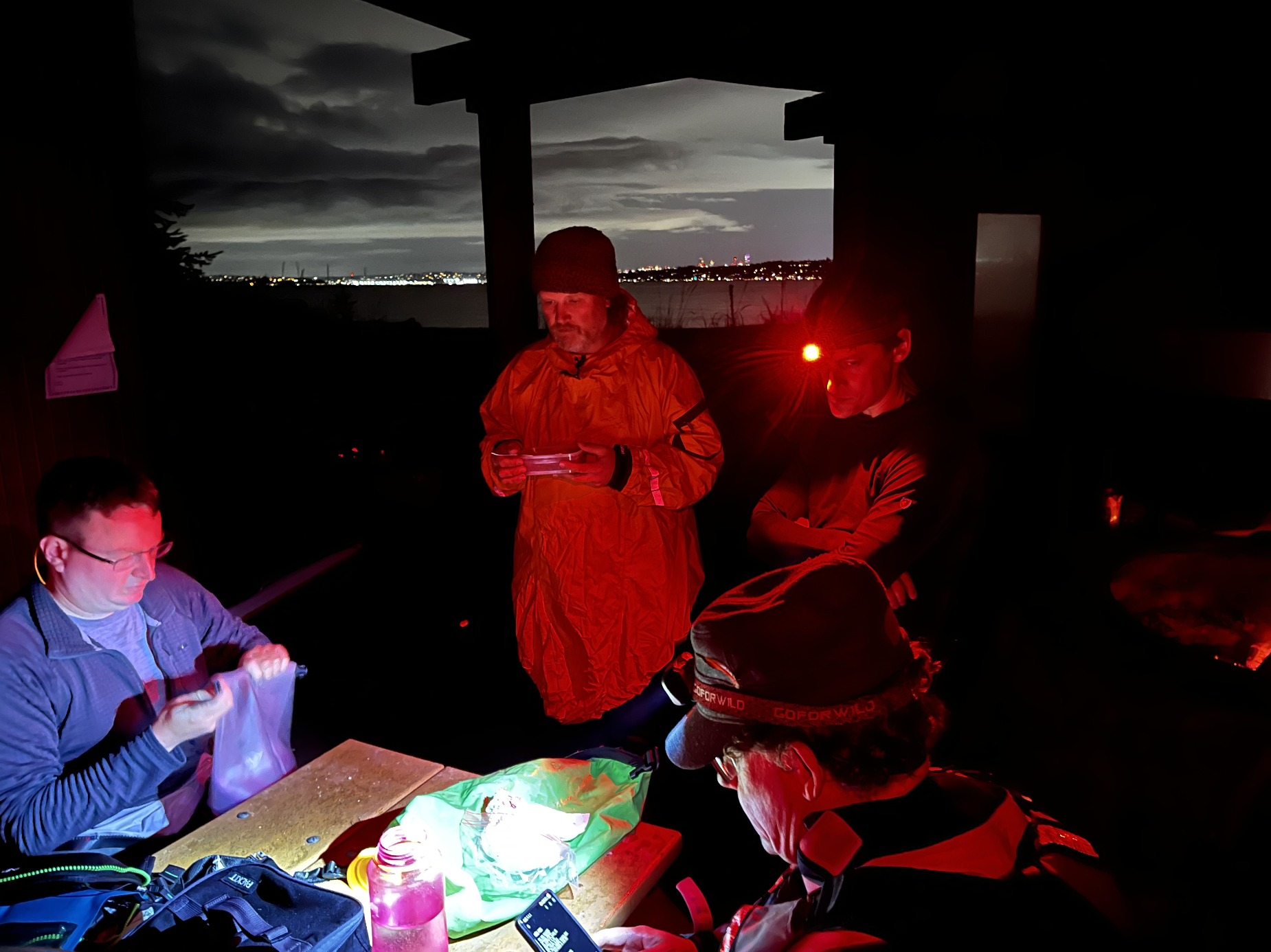 Screen Shot 2025-06-22 at 11.05.23 AM.png