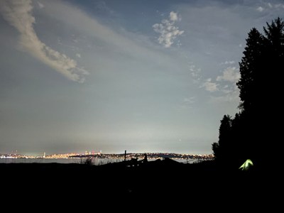 SEATTLE SKYLINE FROM BLAKE.jpg