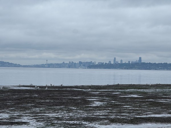 TIDES OUT ON BLAKE.jpg