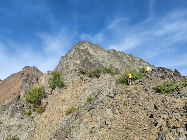 LAW and MN on martin.jpg