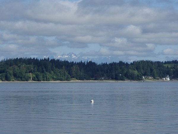 View of Olympics from launch ramp