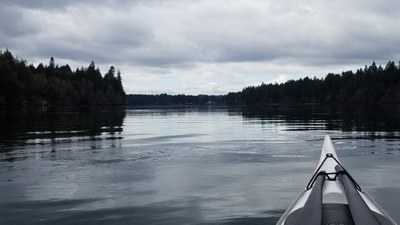 Hammersley Inlet pic.jpg