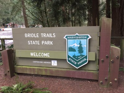 Bridle Trails State Park