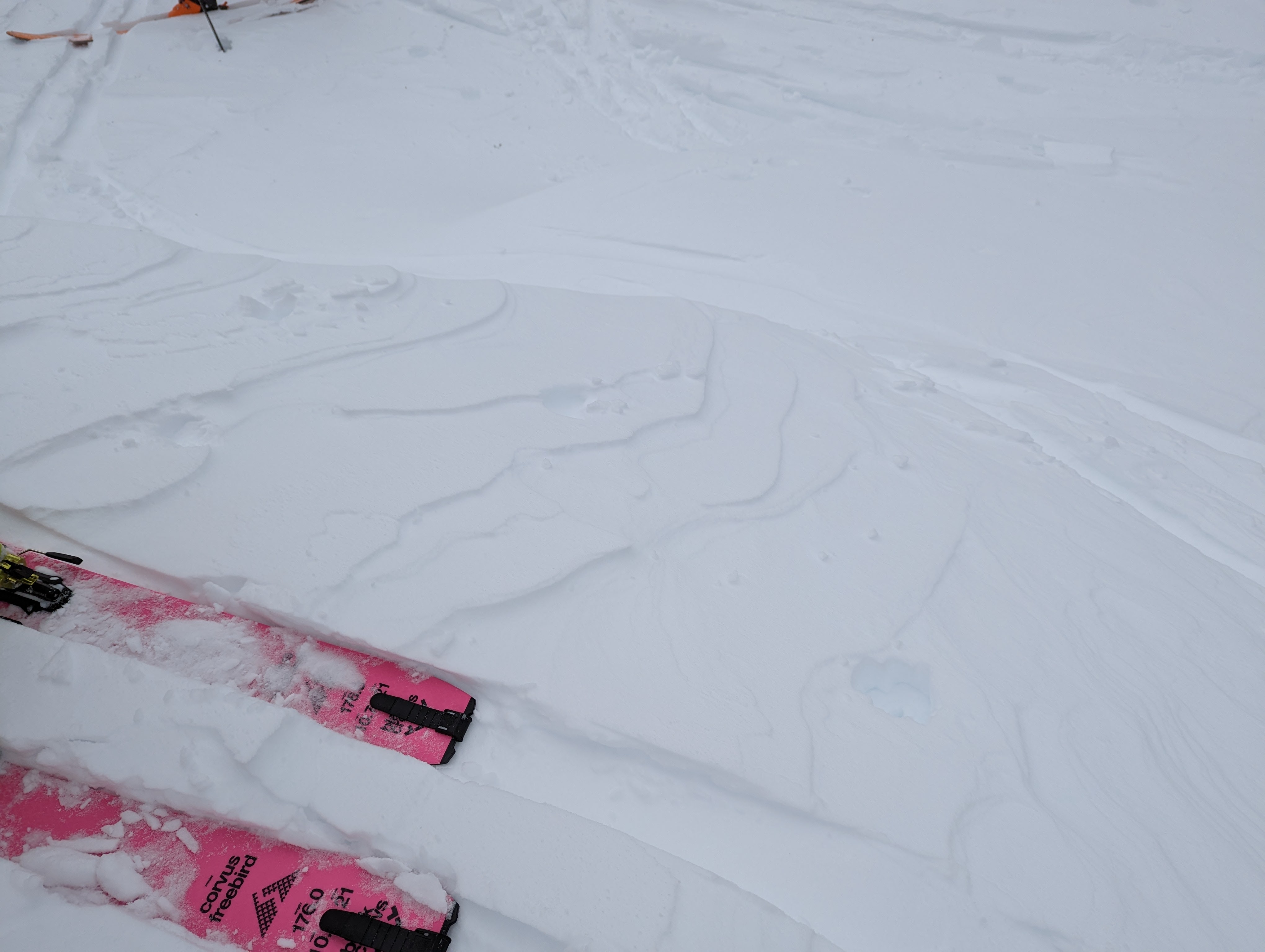 PXL_20221204_182934644.MP (1).jpg