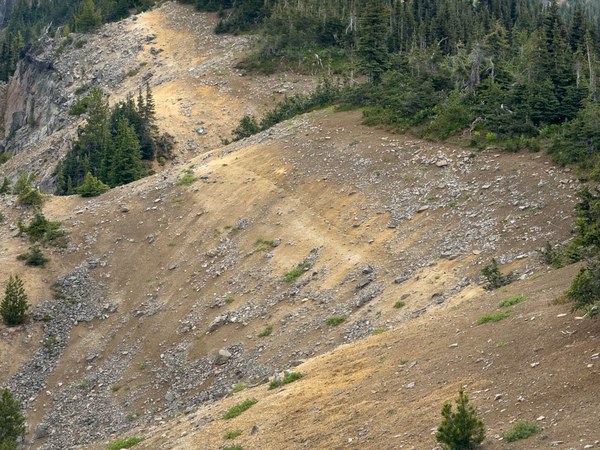 Ash and Pumice layer on Sourdough Ridge--Mt Rainier NP-3379.jpg