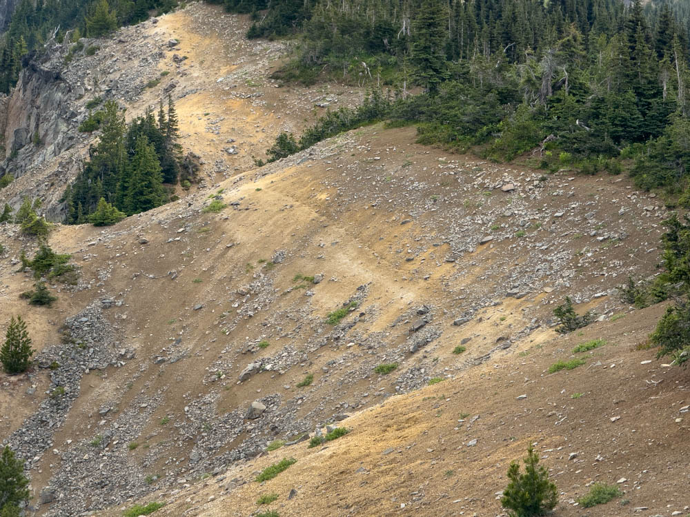 Ash and Pumice layer on Sourdough Ridge--Mt Rainier NP-3379.jpg