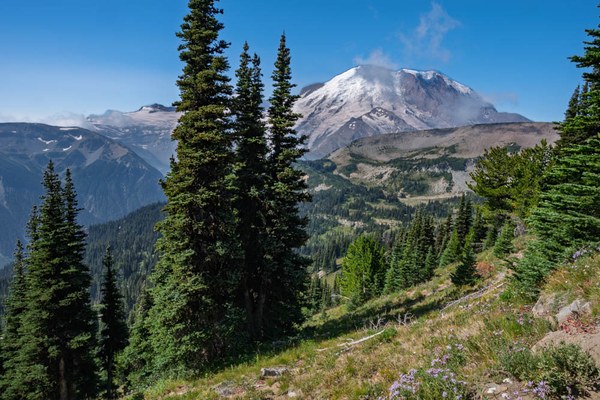 Mount Rainier from Sourdough Ridge Trail--Mount Rainier-3.jpg