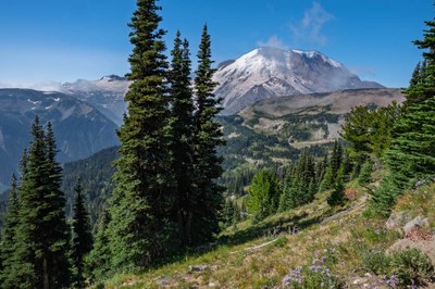 Mount Rainier from Sourdough Ridge Trail--Mount Rainier-3.jpg