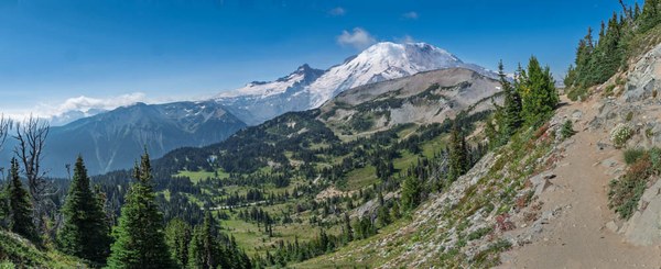 Panarama of Mount Rainier from Sourdough Trail--Mount Rainier-.jpg