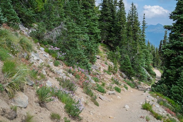 Trail on Southside of First Burroughs--Mount Rainier-3.jpg