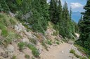 Trail on Southside of First Burroughs--Mount Rainier-3.jpg