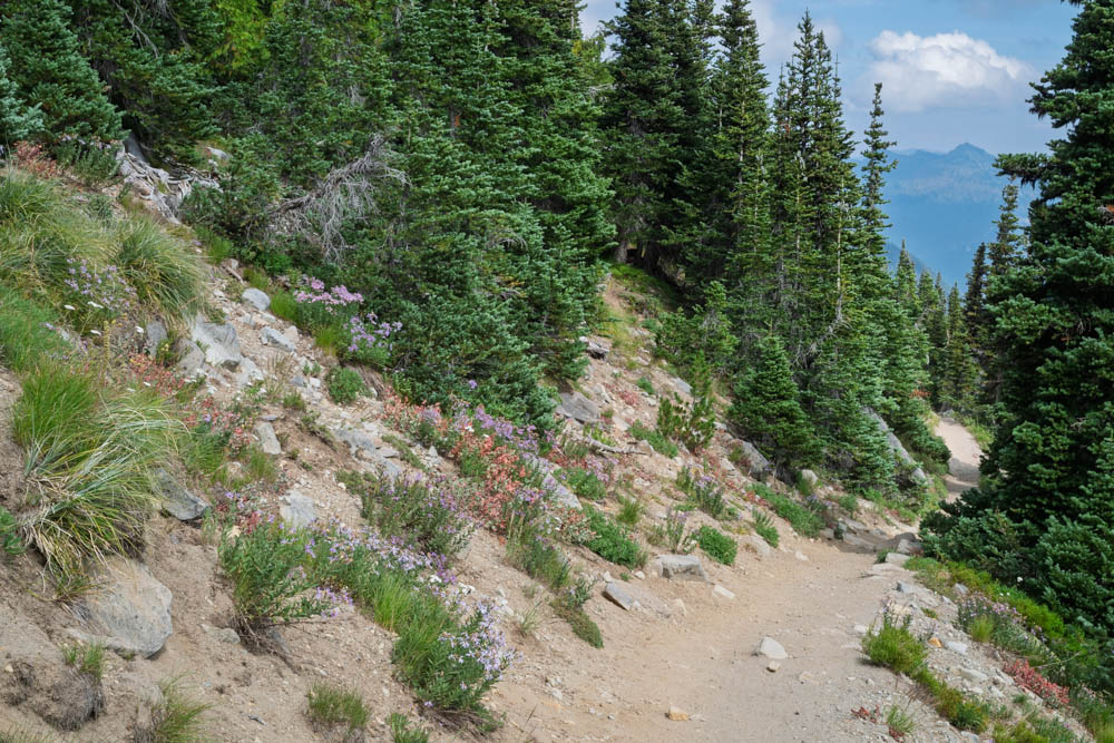 Trail on Southside of First Burroughs--Mount Rainier-3.jpg