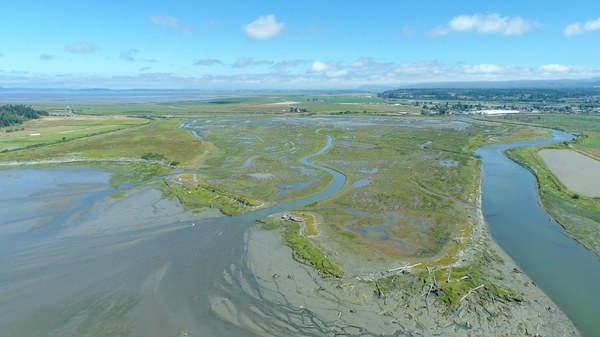 Leque Island Aerial Photo.jpg
