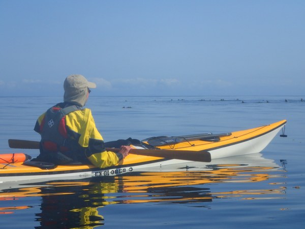 Larry and the sea otters.JPG