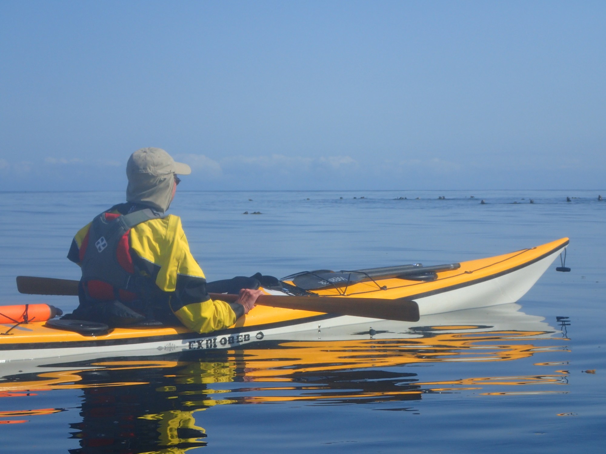 Larry and the sea otters.JPG