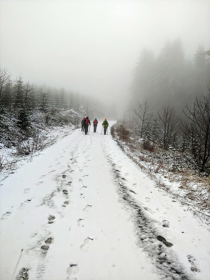 last push to Capitol peak Feb 2020.jpg