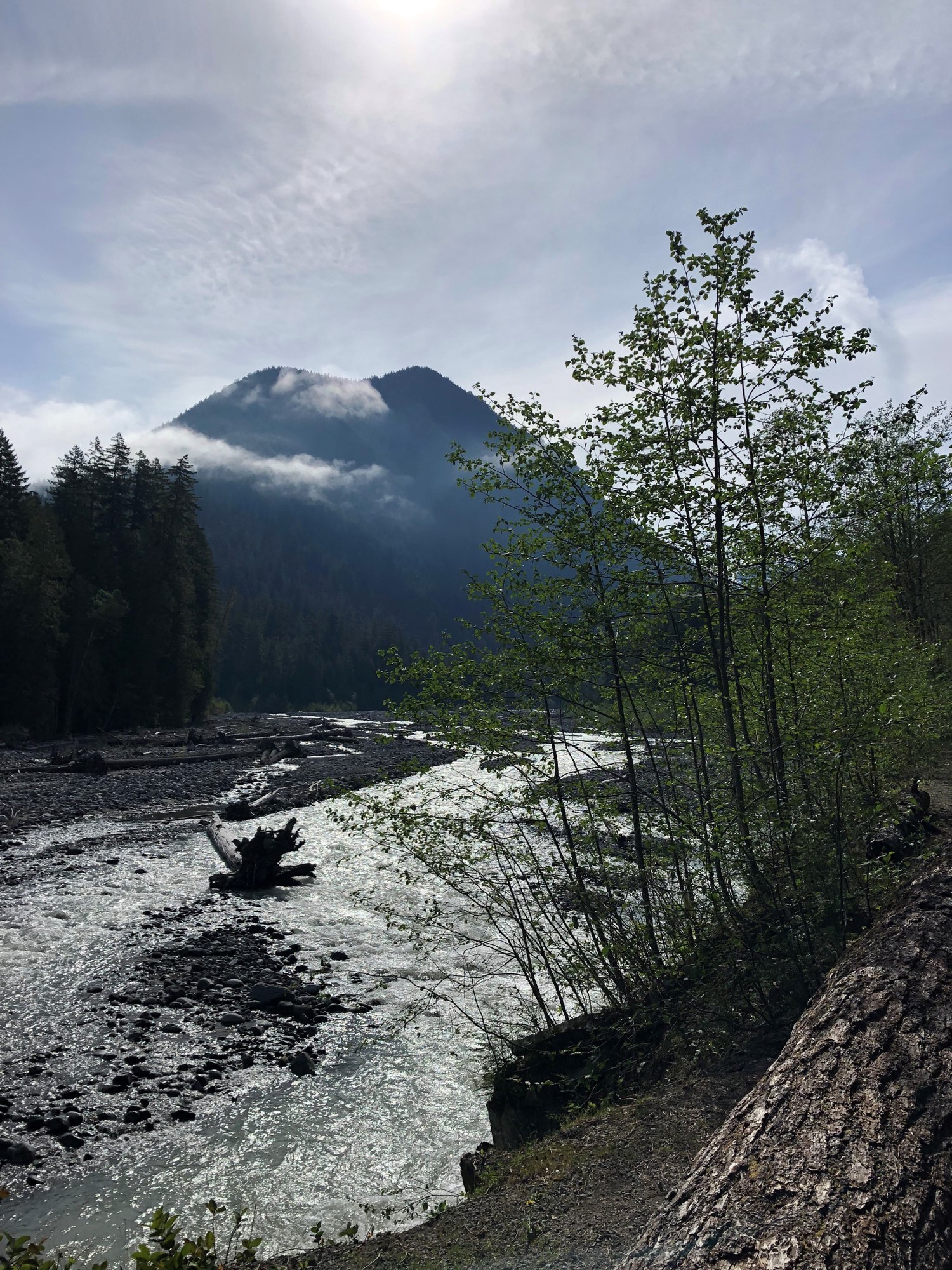 Carbon River Road — The Mountaineers