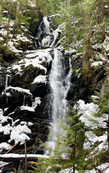 Screen Shot 2023-03-30 at 3.18.43 AM.png