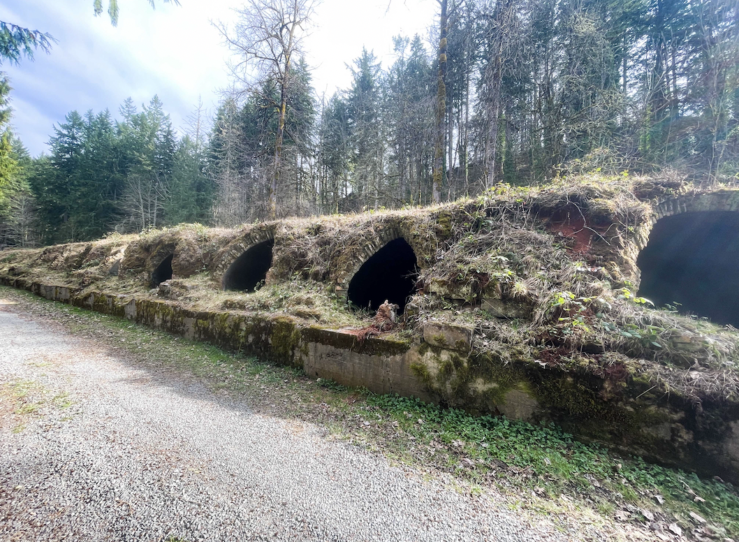 Screen Shot 2023-03-30 at 3.19.33 AM.png