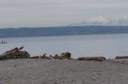 Carkeek Park