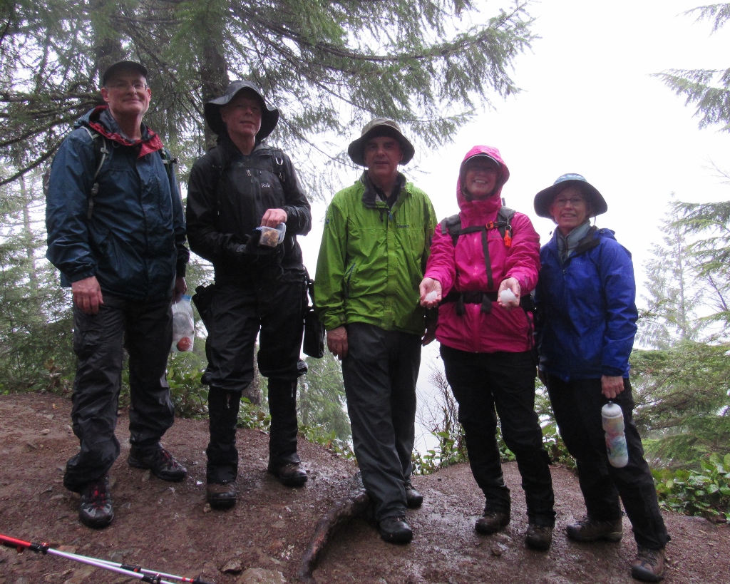 IMG_7339 (1024x819).jpg