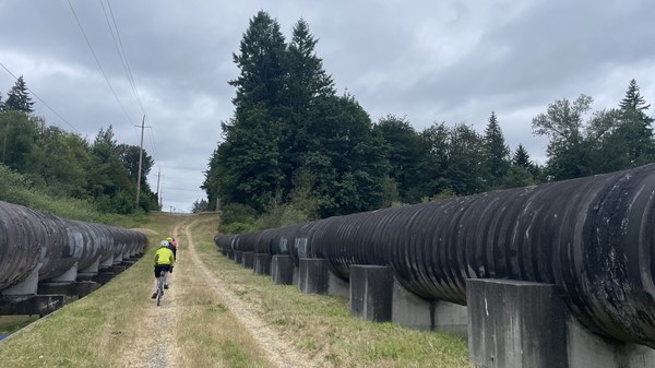 Cedar River pilpeline