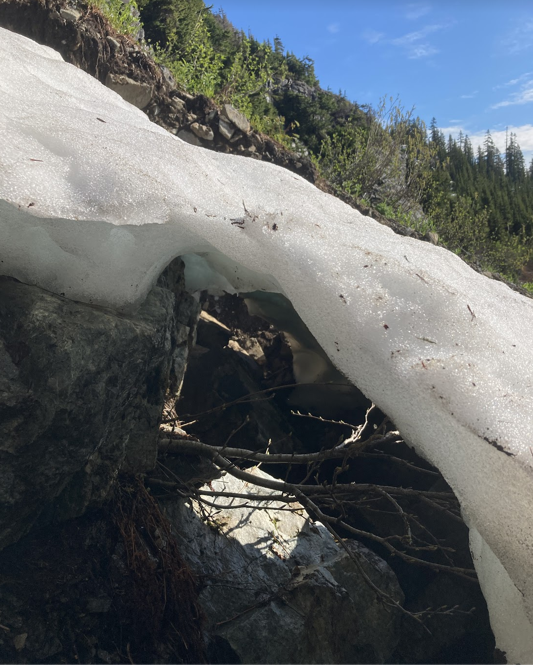 Screenshot 2024-06-29 at 9.16.14 PM.png