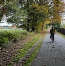 Chehalis Western Trail