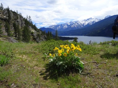 Chelan Lakeshore Trail