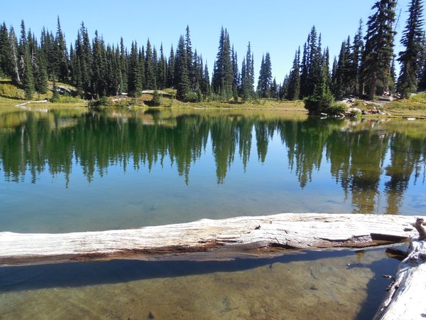 Sheep Lake