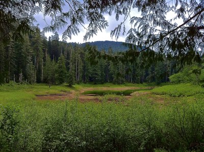 Church Creek–Satsop Lakes