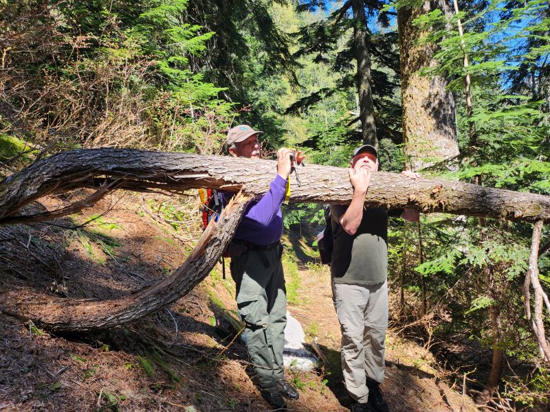 20240511_111953 resized.jpg