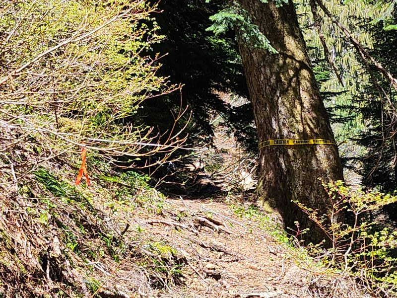 20240511_124352 resized.jpg