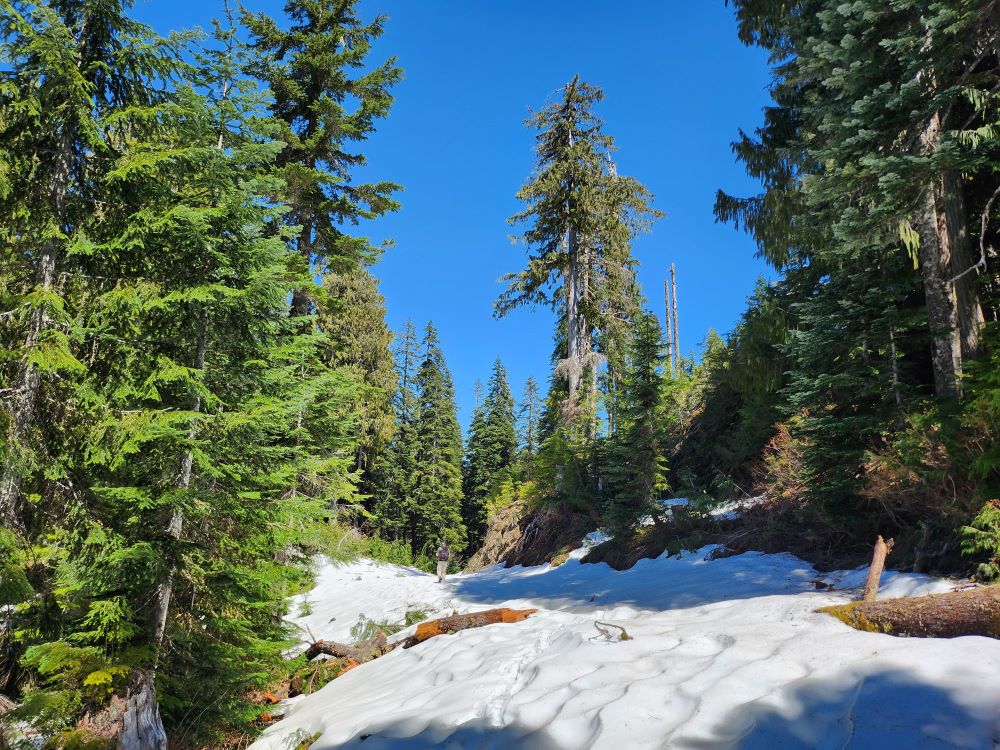 20240511_125934 resized.jpg