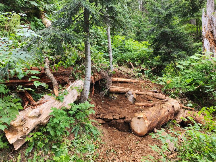 20250805_144452 resized.jpg