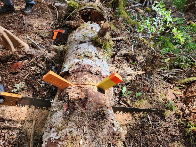 20250928_132104 (1) resized.jpg