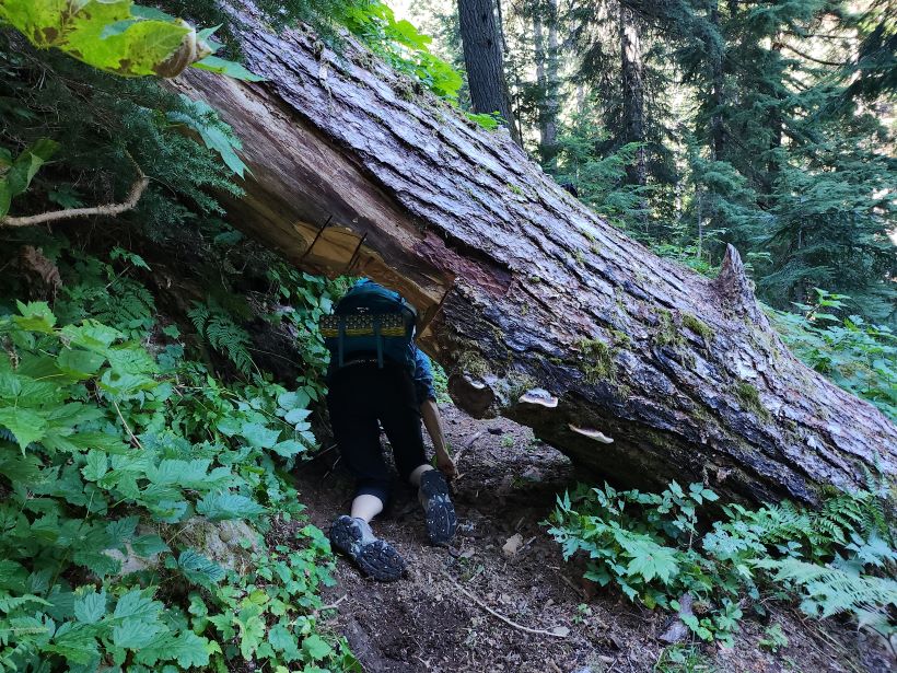 resized 20230915_103131.jpg