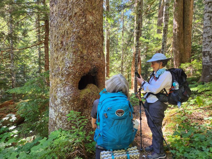 resized 20230915_113353.jpg