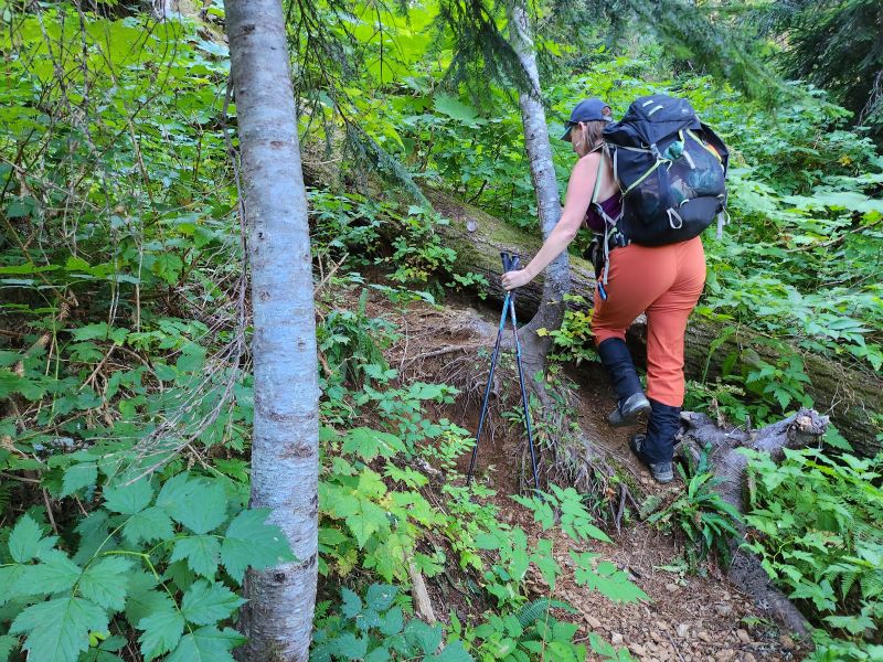 Upper east, steps needed 20230917_125417 resized.jpg