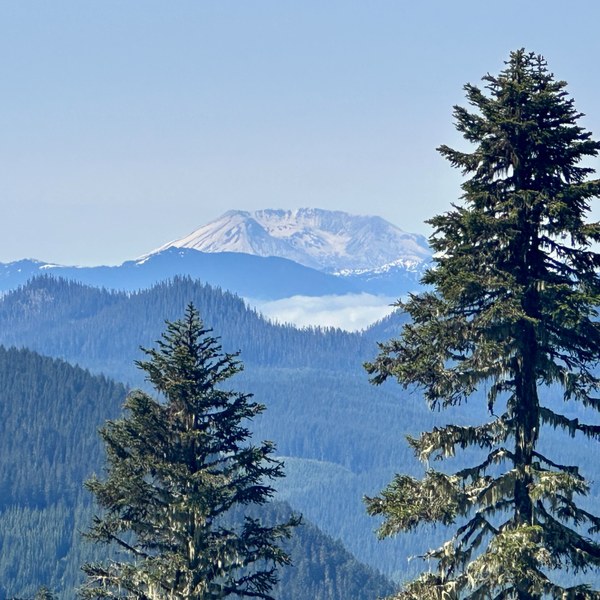 IMG_6965.jpg IMG_6965.jpg