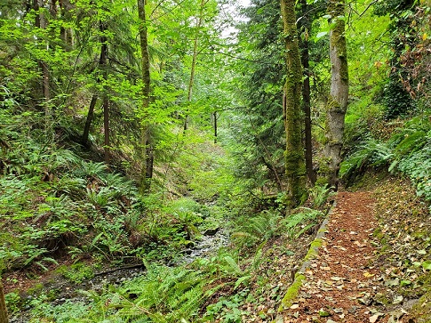 CoalCrk Nat Area 20230904(sm).jpg