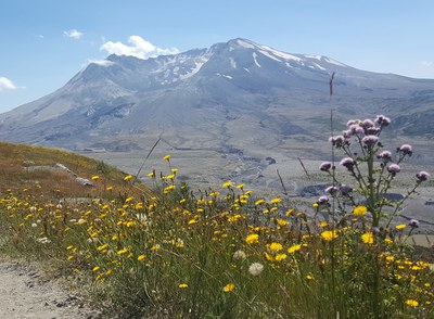 Coldwater Peak, Harry's Ridge & Pumice Plain