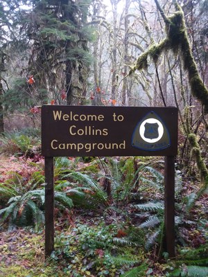 Collins Campground