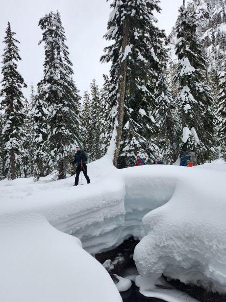 20230311_131409 resized.jpg