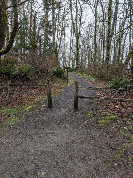 Path to Million Dollar View from Harvey Manning Trailhead taken by Joshua Stein
