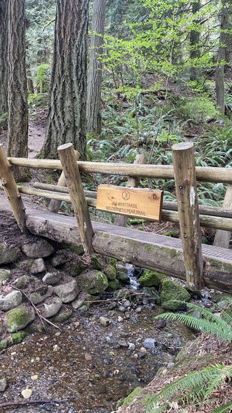 IMG_3512.JPEG IMG_3512.JPEG