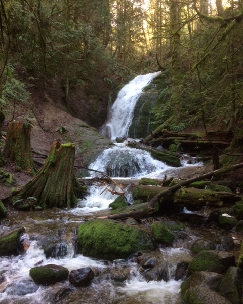 Cougar Falls