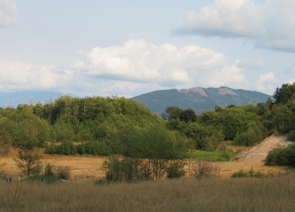 View of the Clay Pit on Cougar Mountain.
